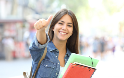Aspects to consider to carry out a Survey